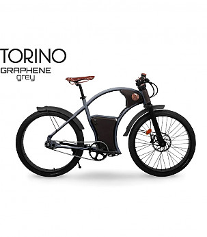 RAYVOLT Torino Power Hub Grey V2 elektrilised jalgrattad