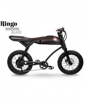 RAYVOLT Ringo Smart Hub Graphene V1 elektrilised jalgrattad